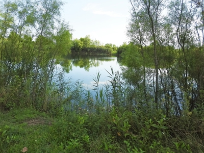 Murdock Land Auction - image 15