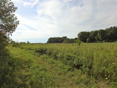 Murdock Land Auction - image 21