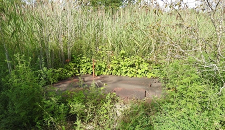Murdock Land Auction - image 13