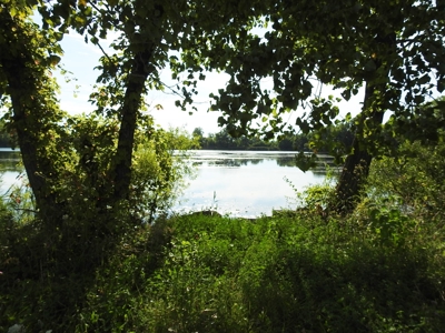 Murdock Land Auction - image 27