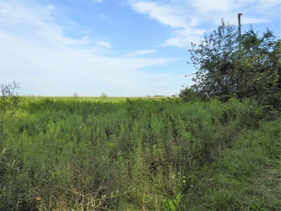 Murdock Land Auction - image 24