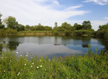 Murdock Land Auction - image 40