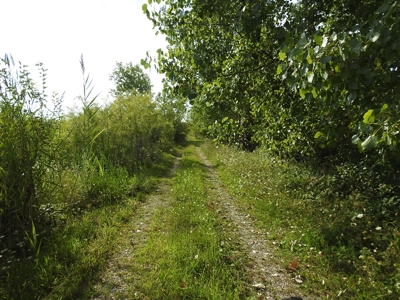 Murdock Land Auction - image 6