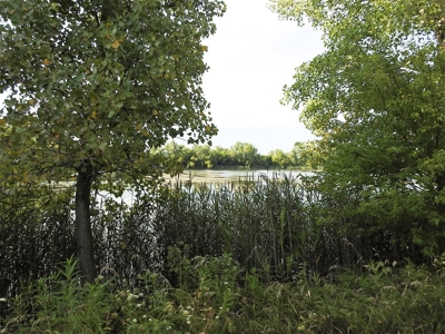 Murdock Land Auction - image 29