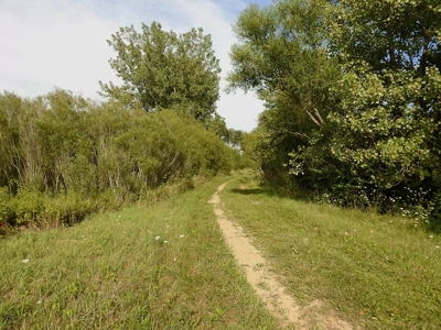 Murdock Land Auction - image 11