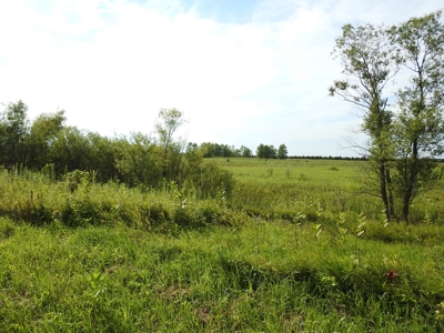 Murdock Land Auction - image 8