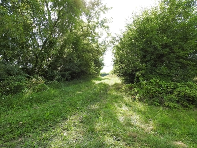 Murdock Land Auction - image 25