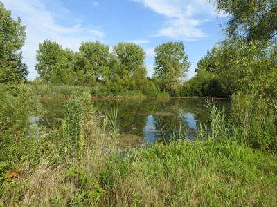 Murdock Land Auction - image 23