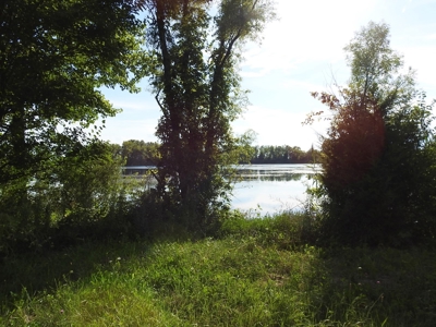 Murdock Land Auction - image 26