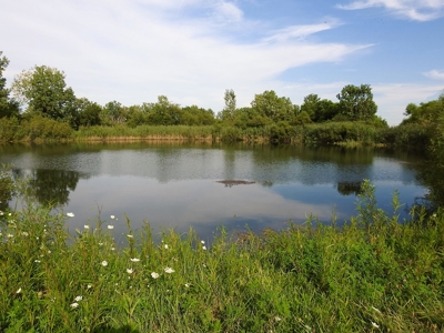 Murdock Land Auction - image 5