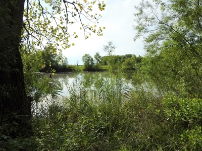 Murdock Land Auction - image 18