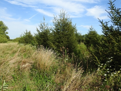 Murdock Land Auction - image 32