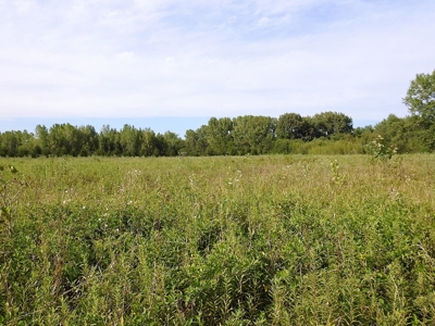 Murdock Land Auction - image 19