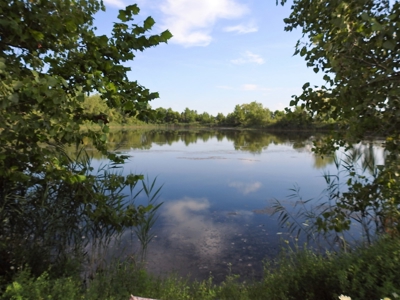 Murdock Land Auction - image 12