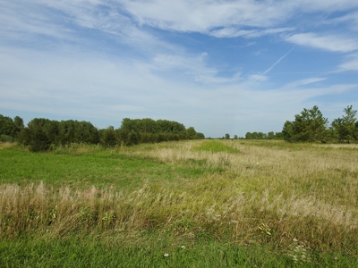 Murdock Land Auction - image 30