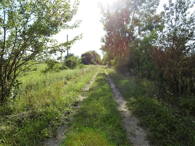 Murdock Land Auction - image 28