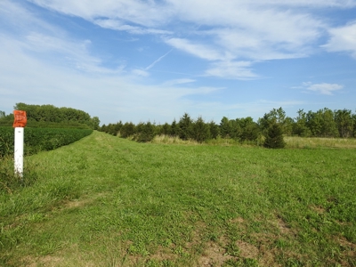 Murdock Land Auction - image 31