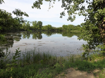 Murdock Land Auction - image 14