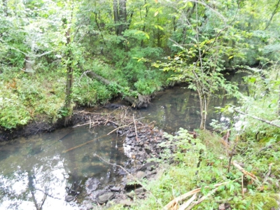 Auction 14.9 Acres on Parker Road Hartselle AL - image 2