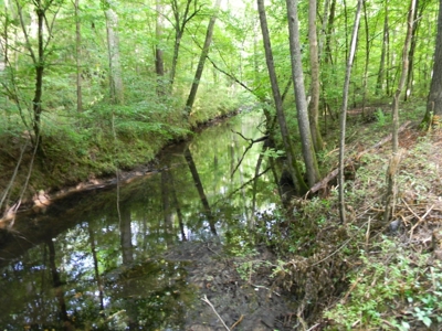 Auction 14.9 Acres on Parker Road Hartselle AL - image 9