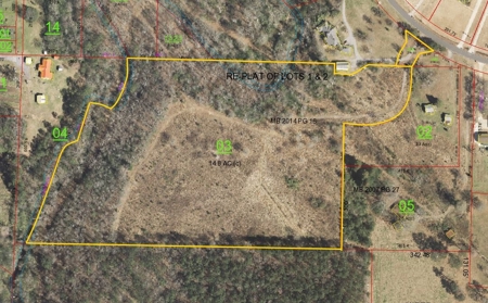 Auction 14.9 Acres on Parker Road Hartselle AL - image 20