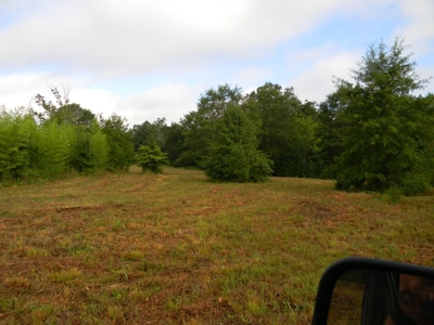 Auction 14.9 Acres on Parker Road Hartselle AL - image 17