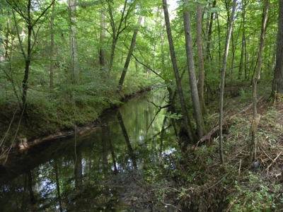 Auction 14.9 Acres on Parker Road Hartselle AL - image 7