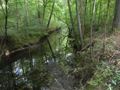 Auction 14.9 Acres on Parker Road Hartselle AL - image 8