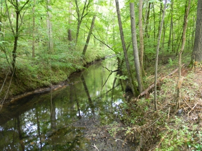Auction 14.9 Acres on Parker Road Hartselle AL - image 6