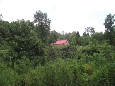 Private Solar Cabin In The Woods For Sale In Tn With Acreage - image 20