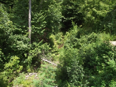 Private Solar Cabin In The Woods For Sale In Tn With Acreage - image 30