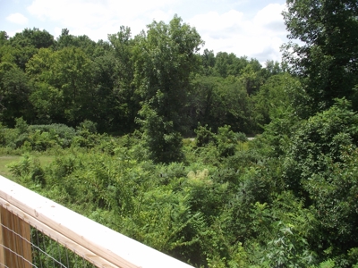 Private Solar Cabin In The Woods For Sale In Tn With Acreage - image 23