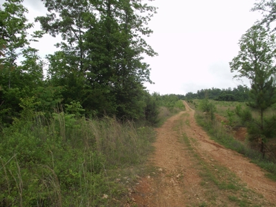Private Solar Cabin In The Woods For Sale In Tn With Acreage - image 6