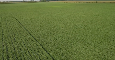 Grubel Farm Land Auction 85 Acres +/- Upper Sandusky, OH - image 6