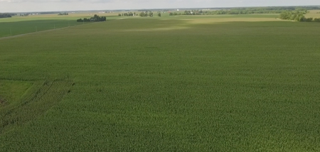 Grubel Farm Land Auction 85 Acres +/- Upper Sandusky, OH - image 1