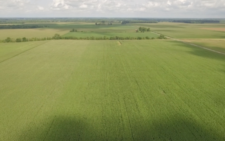 Grubel Farm Land Auction 85 Acres +/- Upper Sandusky, OH - image 3