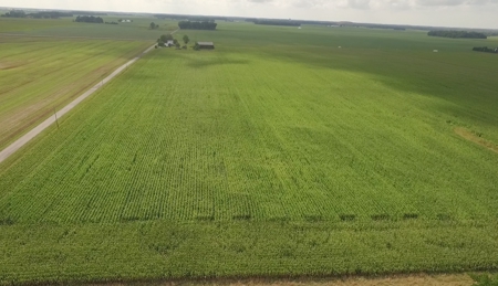 Grubel Farm Land Auction 85 Acres +/- Upper Sandusky, OH - image 4