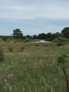 85± Acres of Pasture Grass Land in Saline County, Kansas - image 2