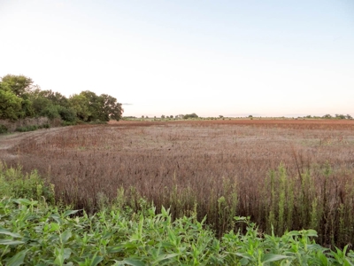 102± Acres of Farmland in Saline County, Kansas For Sale - image 7