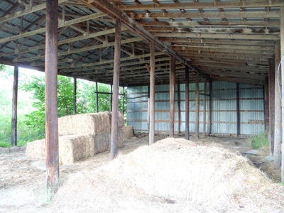 15± Acre Farmstead in Southeast of Saline School District - image 18