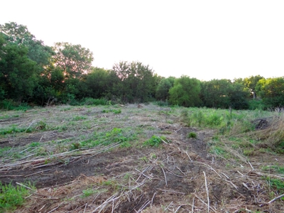 15± Acre Farmstead in Southeast of Saline School District - image 21