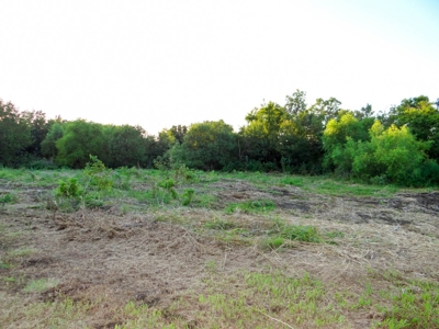 15± Acre Farmstead in Southeast of Saline School District - image 20