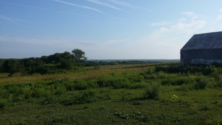 Page County, Iowa Hobby Farm & Country Home for Sale - image 38