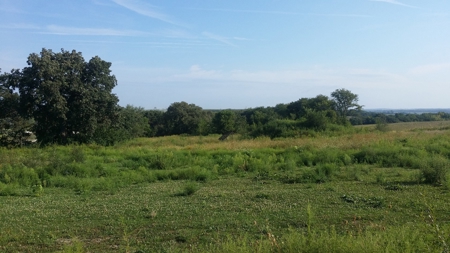 Page County, Iowa Hobby Farm & Country Home for Sale - image 37