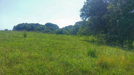 Decatur County, Iowa  Hunting Land for Sale at Auction - image 8