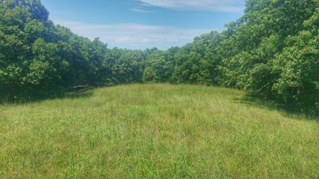 Decatur County, Iowa  Hunting Land for Sale at Auction - image 10