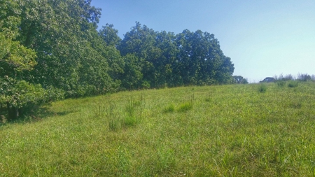 Decatur County, Iowa  Hunting Land for Sale at Auction - image 9