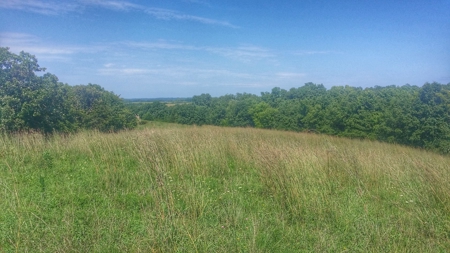 Decatur County, Iowa  Hunting Land for Sale at Auction - image 1