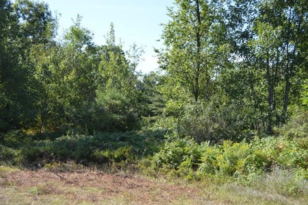 Menominee River Multi Lot Auction in Florence WI. Online Onl - image 43