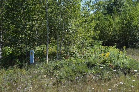 Menominee River Multi Lot Auction in Florence WI. Online Onl - image 30
